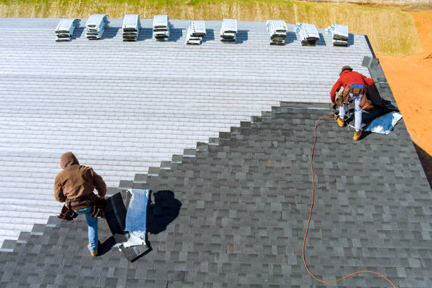 Best Metal Roofing Contractor  in Denison, TX